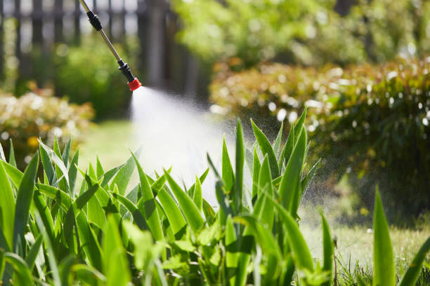 Tamper-Resistant Bait Stations for Rodents in Tobaccoville