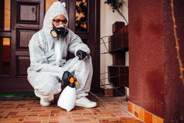 Attic and Crawl Space Rodent Treatment in Tobaccoville