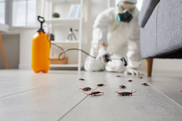 Commercial Rodent Management in Tobaccoville